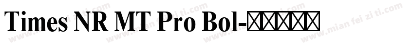 Times NR MT Pro Bol字体转换